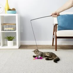 Blue Buffalo Baby Blue Savory Salmon Kitten Treats, 2-oz Bag & Frisco Bird With Feathers Teaser Wand Cat Toy With Catnip -Frisco Shop 501918 PT8. AC SS1800 V1648516909