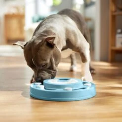 Frisco Two Tier Interactive Puzzle Dog Toy, Easy -Frisco Shop 506370 PT5. AC SS1800 V1674671566