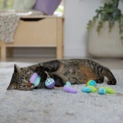 Frisco Fabric & Play Plastic Balls Cat Toy 6 Frisco Fabric & Play Plastic Balls Cat Toy -Frisco Shop 526030 PT3. AC SS1800 V1669148132