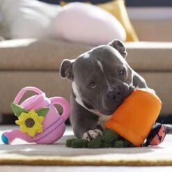 Frisco Spring Potted Plant And Watering Can Plush Squeaky Dog Toy 8 Frisco Spring Potted Plant And Watering Can Plush Squeaky Dog Toy -Frisco Shop 541494 PT4. AC SS1800 V1702500565