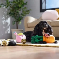 Frisco Spring Plush & Rope Variety Pack Squeaky Dog Toy 8 Frisco Spring Plush & Rope Variety Pack Squeaky Dog Toy -Frisco Shop 541526 PT4. AC SS1800 V1702500565