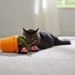 Frisco Spring Potted Plant And Ladybugs Interactive Plush Cat Toy With Catnip -Frisco Shop 541542 PT3. AC SS1800 V1671814448
