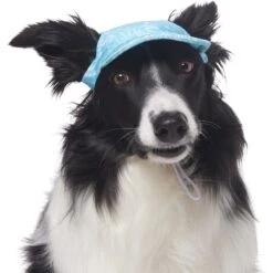 Frisco Blue Ocean Waves 30 + UPF Dog & Cat Beach Cap -Frisco Shop 556182 PT3. AC SS1800 V1677530963