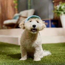 Frisco Blue Ocean Waves 30 + UPF Dog & Cat Beach Cap -Frisco Shop 556182 PT5. AC SS1800 V1675714092