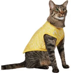 Frisco 30+ UPF Dog & Cat Beach Rash Guard -Frisco Shop 556286 PT3. AC SS1800 V1675714033