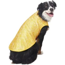 Frisco 30+ UPF Dog & Cat Beach Rash Guard -Frisco Shop 556286 PT4. AC SS1800 V1675713977