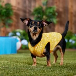 Frisco 30+ UPF Dog & Cat Beach Rash Guard -Frisco Shop 556286 PT6. AC SS1800 V1675714036