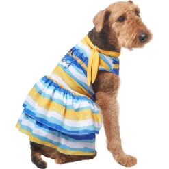 Frisco Beach Vibes Dog & Cat Dress 10 Frisco Beach Vibes Dog & Cat Dress -Frisco Shop 556934 PT3. AC SS1800 V1675280724
