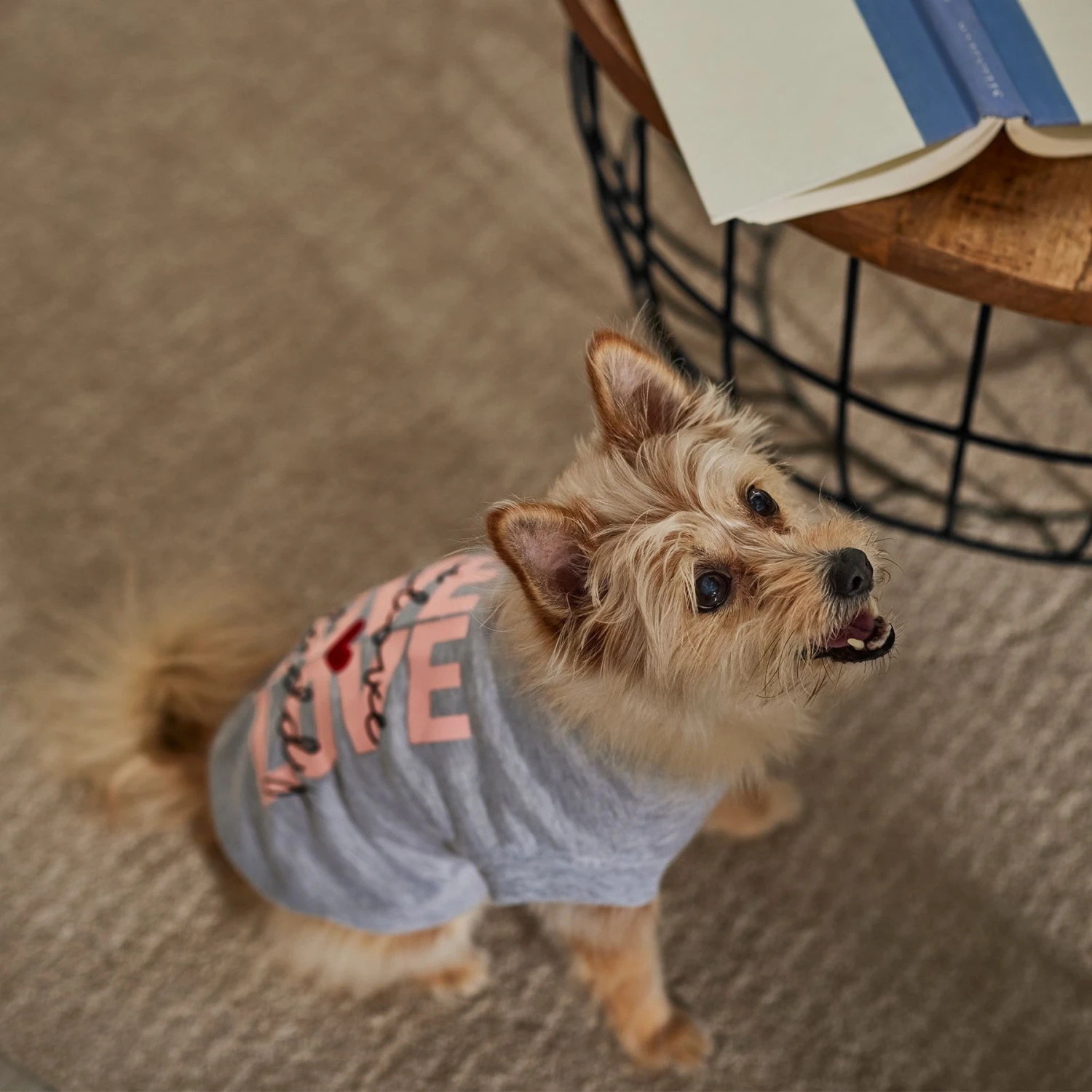 Frisco I Love Daddy Heart Dog & Cat T-Shirt 6 Frisco I Love Daddy Heart Dog & Cat T-Shirt - Image 6