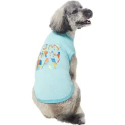 Frisco Birthday Celebration Dog & Cat T-Shirt 10 Frisco Birthday Celebration Dog & Cat T-Shirt -Frisco Shop 608318 PT3. AC SS1800 V1676643253