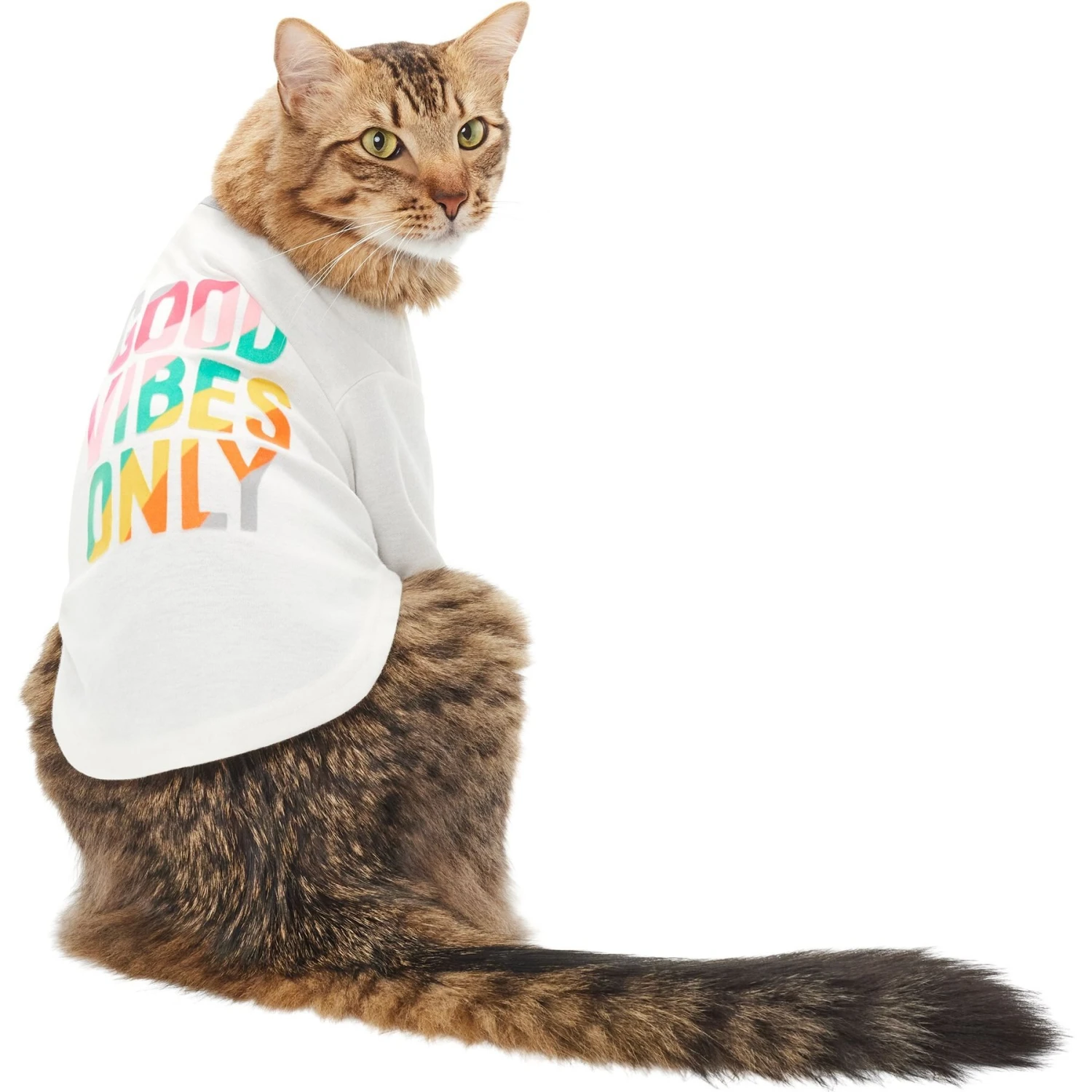 Frisco Good Vibes Only Dog & Cat T-Shirt 3 Frisco Good Vibes Only Dog & Cat T-Shirt - Image 3