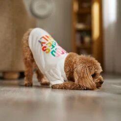 Frisco Good Vibes Only Dog & Cat T-Shirt 12 Frisco Good Vibes Only Dog & Cat T-Shirt -Frisco Shop 608518 PT7. AC SS1800 V1676644453