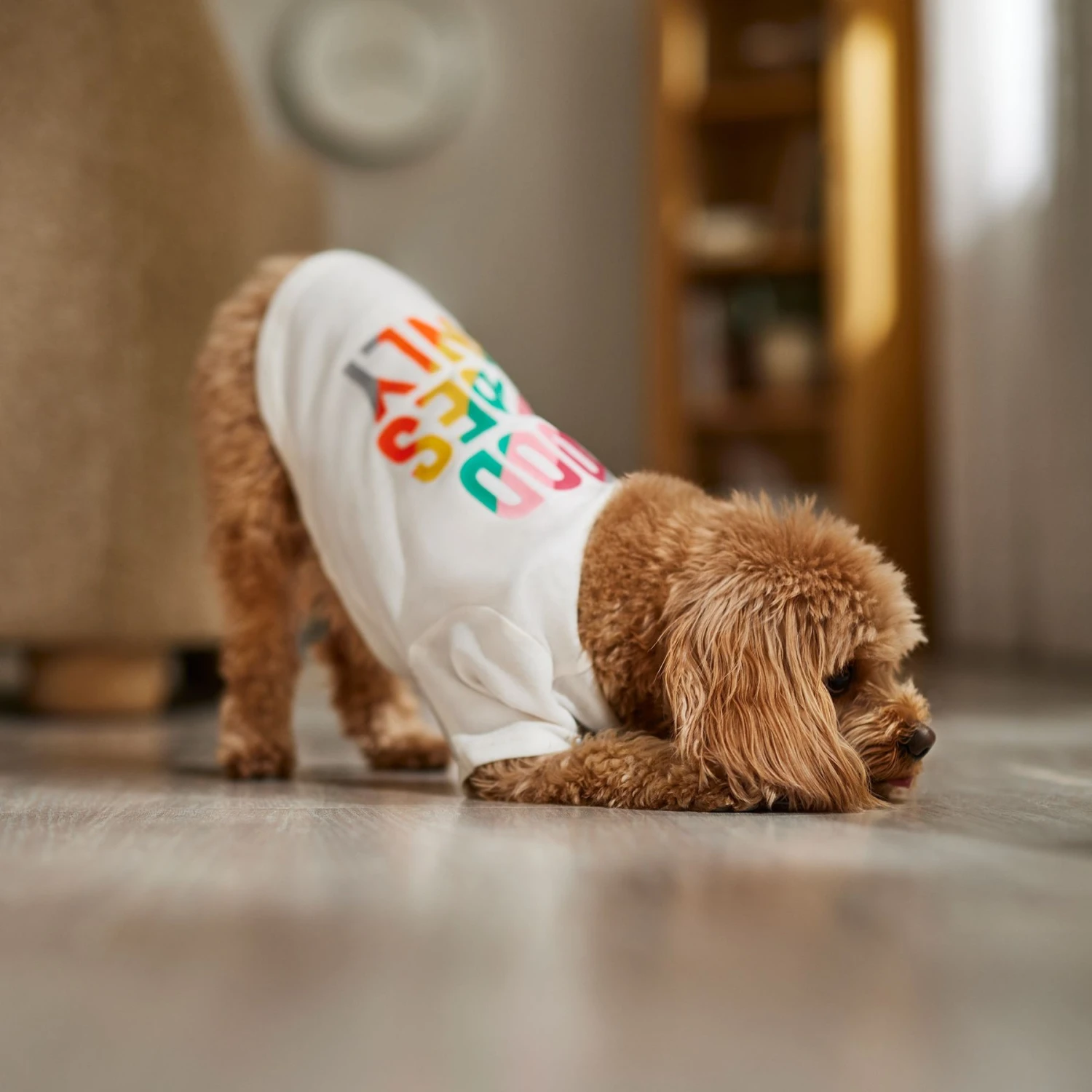 Frisco Good Vibes Only Dog & Cat T-Shirt 6 Frisco Good Vibes Only Dog & Cat T-Shirt - Image 6