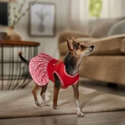 Frisco Time To Shine Dog & Cat Dress -Frisco Shop 608638 PT7. AC SS1800 V1676643324