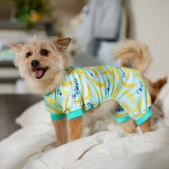 Frisco Go Bananas Dog & Cat Jersey PJs -Frisco Shop 608998 PT6. AC SS1800 V1676642341
