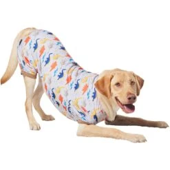 Frisco Dinosaur Dog & Cat Jersey PJs 8 Frisco Dinosaur Dog & Cat Jersey PJs -Frisco Shop 609062 PT4. AC SS1800 V1681488688