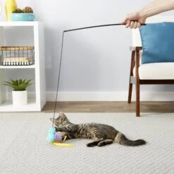 Frisco Natural Catnip & Frisco Bird With Feathers Teaser Wand Cat Toy With Catnip 17 Frisco Natural Catnip & Frisco Bird With Feathers Teaser Wand Cat Toy With Catnip -Frisco Shop 630198 PT8. AC SS1800 V1683212566