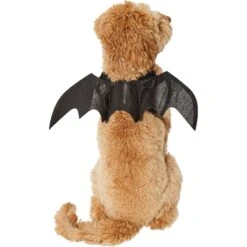 Frisco Bat Wings Dog & Cat Costume & Buckle-Down Batman Shield Polyester Dog Collar -Frisco Shop 638566 PT3. AC SS1800 V1663254451