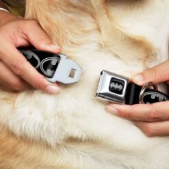 Frisco Bat Wings Dog & Cat Costume & Buckle-Down Batman Shield Polyester Dog Collar -Frisco Shop 638566 PT6. AC SS1800 V1663254111