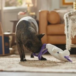 Frisco Halloween Bunny Ghost Plush Squeaky Dog Toy -Frisco Shop 667878 PT3. AC SS1800 V1689340856