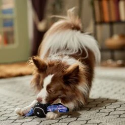 Frisco Halloween Bat Fetch Squeaky Tennis Ball Dog Toy 8 Frisco Halloween Bat Fetch Squeaky Tennis Ball Dog Toy -Frisco Shop 668278 PT3. AC SS1800 V1689350166