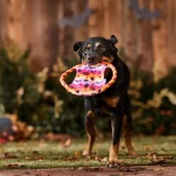 Frisco Halloween Ghost Swirl Fetch Flyer Dog Toy -Frisco Shop 668294 PT3. AC SS1800 V1689278363