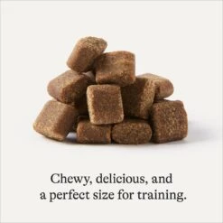 Frisco Giant Charcoal Dog Training & Potty Pads & American Journey Beef Recipe Grain-Free Soft & Chewy Training Bits Dog Treats -Frisco Shop 678566 PT7. AC SS1800 V1681825758