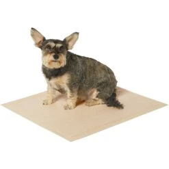 Frisco Large Eco-Conscious Dog Training & Potty Pads & American Journey Peanut Butter Recipe Grain-Free Oven Baked Crunchy Biscuit Dog Treats 12 Frisco Large Eco-Conscious Dog Training & Potty Pads & American Journey Peanut Butter Recipe Grain-Free Oven Baked Crunchy Biscuit Dog Treats -Frisco Shop 678574 PT3. AC SS1800 V1667863365