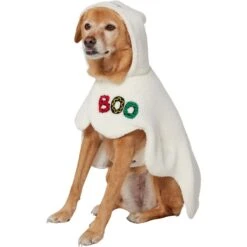 Frisco Boo-Tastic Ghost Dog & Cat Costume Cape