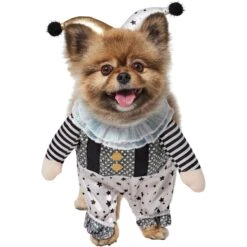 Frisco Front Walking Glitter Clown Dog & Cat Costume -Frisco Shop 707542 PT2. AC SS1800 V1689351699