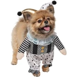 Frisco Front Walking Glitter Clown Dog & Cat Costume -Frisco Shop 707542 PT3. AC SS1800 V1689278296