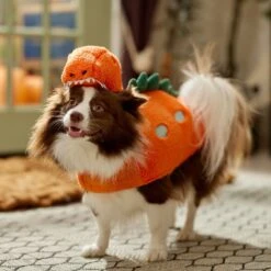 Frisco Furry Dinosaur Dog & Cat Costume -Frisco Shop 708190 PT7. AC SS1800 V1689278373