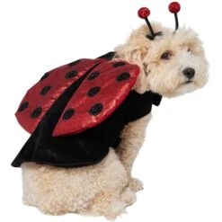 Frisco Glittered Ladybug Dog & Cat Costume 12 Frisco Glittered Ladybug Dog & Cat Costume -Frisco Shop 708254 PT3. AC SS1800 V1689350986
