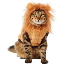 Frisco Lion Love Dog & Cat Costume 11 Frisco Lion Love Dog & Cat Costume -Frisco Shop 708318 PT2. AC SS1800 V1689341486