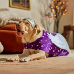 Frisco Shooting Stars Dog & Cat Costume -Frisco Shop 708614 PT7. AC SS1800 V1689278699