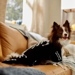 Frisco Glow In The Dark Skeleton Dog & Cat Costume 14 Frisco Glow In The Dark Skeleton Dog & Cat Costume -Frisco Shop 709038 PT7. AC SS1800 V1689350988