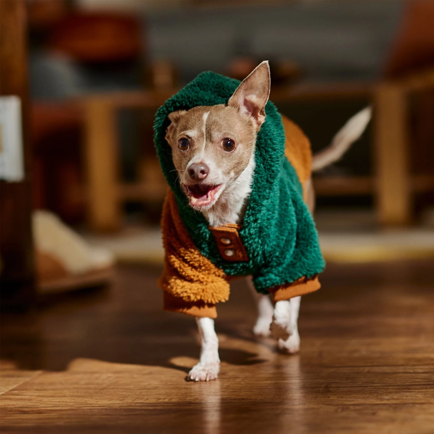 Frisco 2-Tone Colorblock Fleece Dog & Cat Hoodie 8 Frisco 2-Tone Colorblock Fleece Dog & Cat Hoodie - Image 8