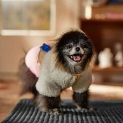 Frisco Colorblock Fleece Dog & Cat Hoodie W/ Pocket 16 Frisco Colorblock Fleece Dog & Cat Hoodie W/ Pocket -Frisco Shop 718278 PT7. AC SS1800 V1692375977