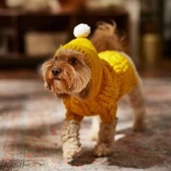 Frisco Sherpa Lined Chunky Cable Knit Dog & Cat Hooded Sweater 14 Frisco Sherpa Lined Chunky Cable Knit Dog & Cat Hooded Sweater -Frisco Shop 718374 PT7. AC SS1800 V1692379031