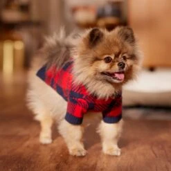 Frisco Fleece Lined Buffalo Plaid Mock Neck Dog & Cat Sweater 16 Frisco Fleece Lined Buffalo Plaid Mock Neck Dog & Cat Sweater -Frisco Shop 718470 PT7. AC SS1800 V1692378099