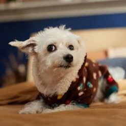 Frisco Cozy Plush Fleece Dog & Cat PJs, Mushrooms -Frisco Shop 718950 PT7. AC SS1800 V1692378098