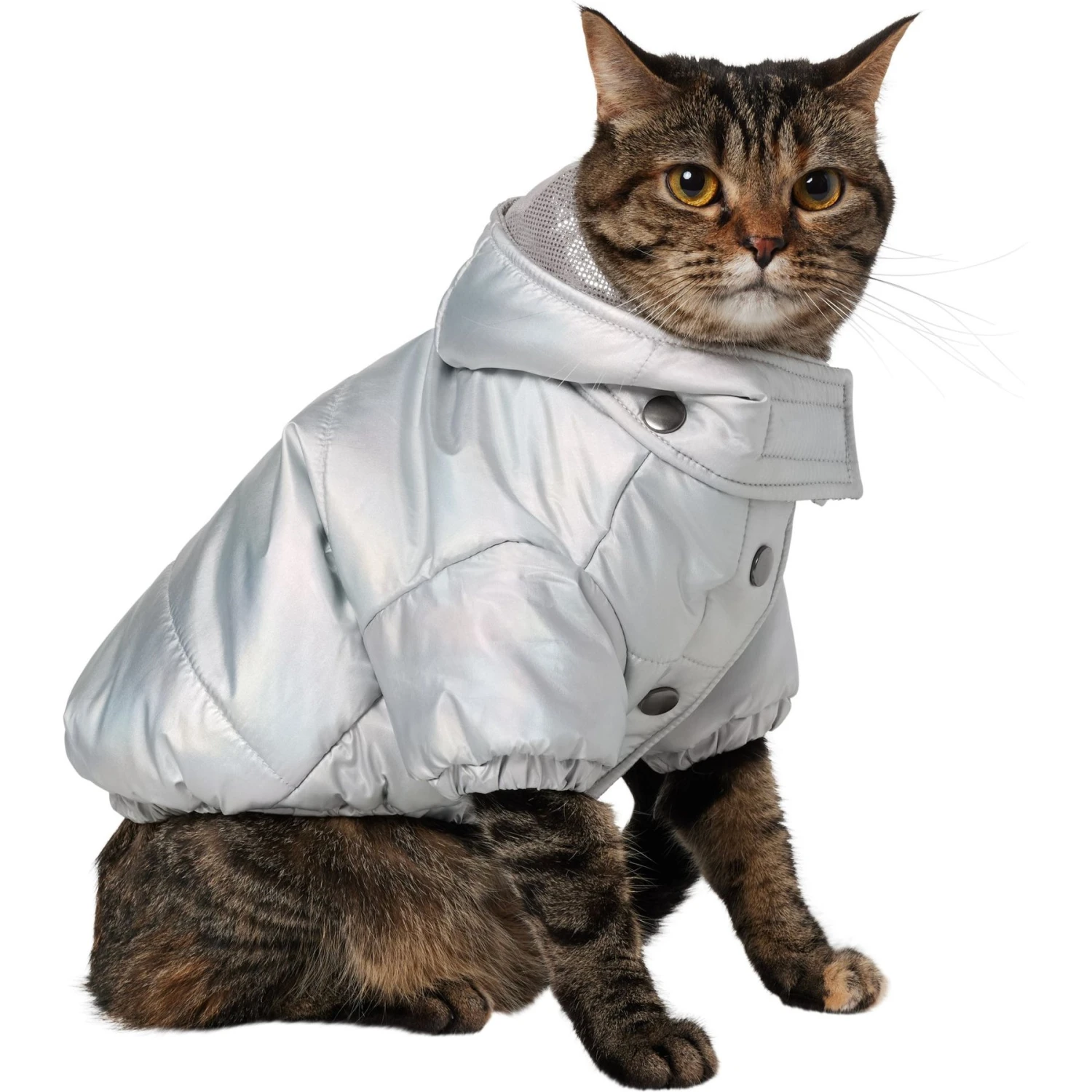 Frisco Heavy Weight Iridescent Quilted Dog & Cat Hooded Puffer Coat 1 Frisco Heavy Weight Iridescent Quilted Dog & Cat Hooded Puffer Coat