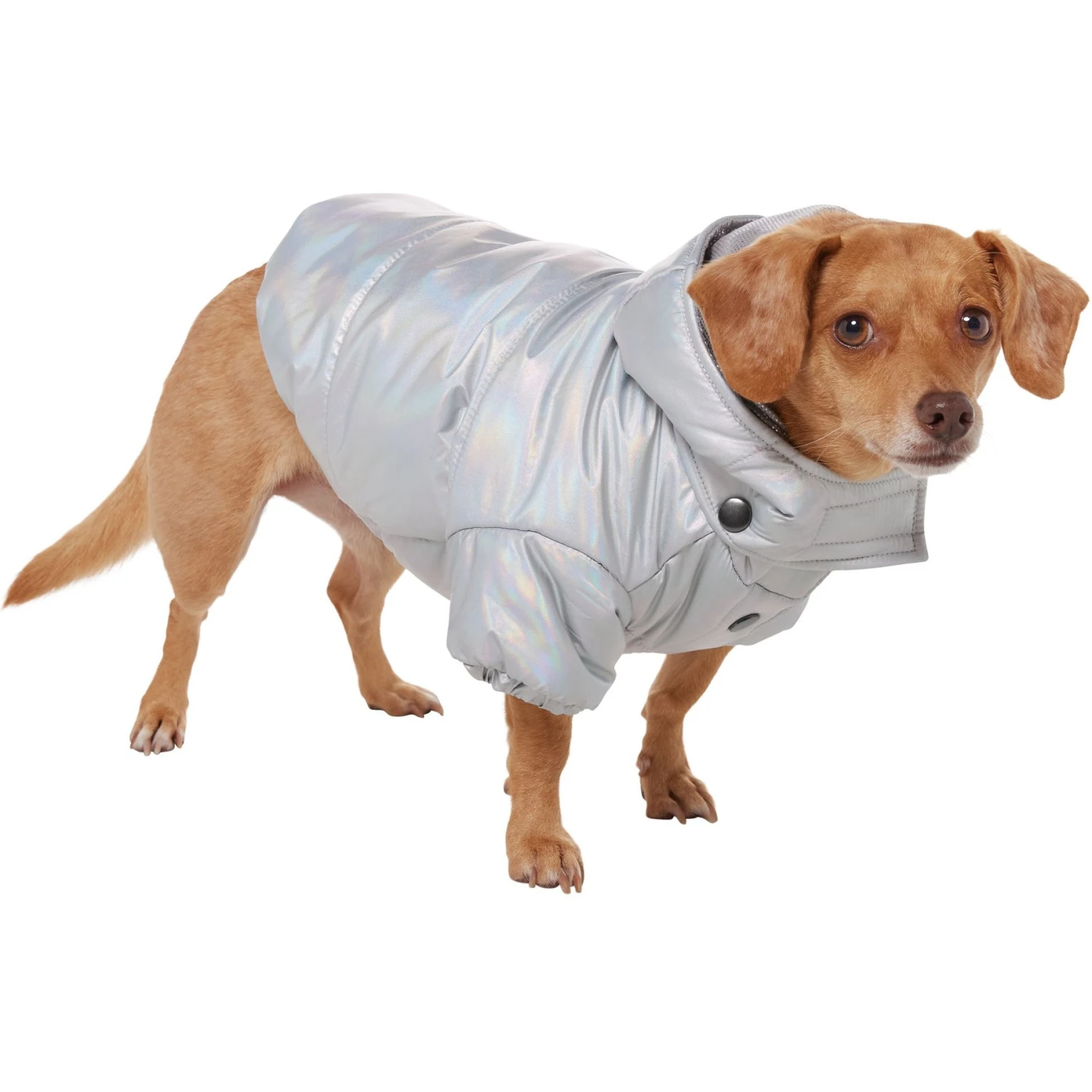 Frisco Heavy Weight Iridescent Quilted Dog & Cat Hooded Puffer Coat 3 Frisco Heavy Weight Iridescent Quilted Dog & Cat Hooded Puffer Coat - Image 3