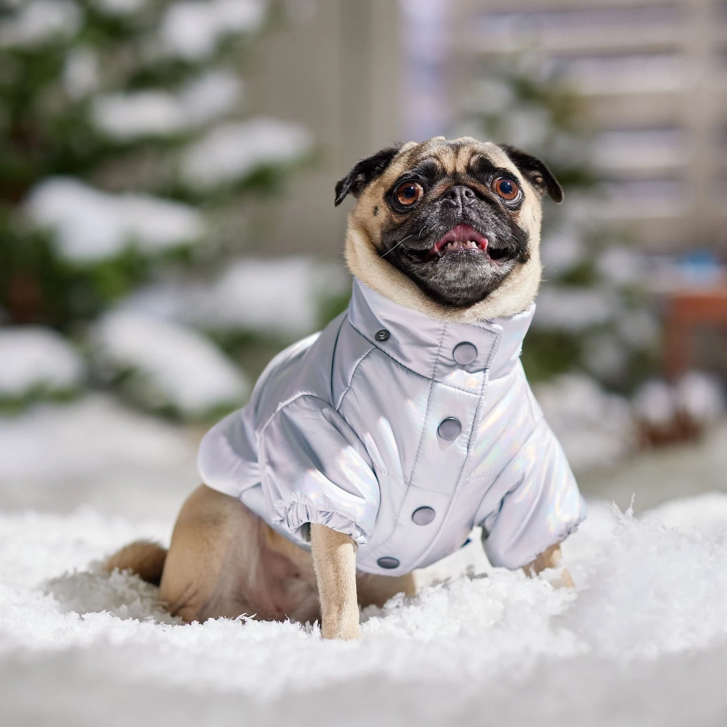 Frisco Heavy Weight Iridescent Quilted Dog & Cat Hooded Puffer Coat 8 Frisco Heavy Weight Iridescent Quilted Dog & Cat Hooded Puffer Coat - Image 8