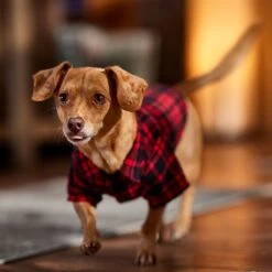 Frisco Red Tartan Plaid Dog & Cat Flannel Shirt -Frisco Shop 720790 PT7. AC SS1800 V1693401090