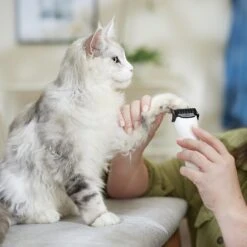 Rechargeable Cordless Cat & Dog Hair Clipper, White 10 Rechargeable Cordless Cat & Dog Hair Clipper, White -Frisco Shop 729710 PT4. AC SS1800 V1683147134