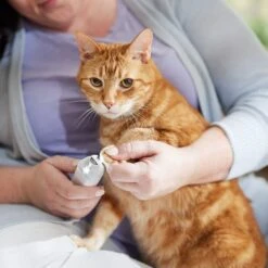 Rechargeable Cordless Cat & Dog 3-Speed Nail Grinder, White -Frisco Shop 729774 PT5. AC SS1800 V1683147135