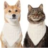 Frisco Solid Faux Fur Dog & Cat Bandana