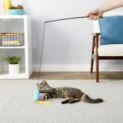 Hartz Delectables Squeeze Up Variety Pack Lickable Cat Treats & Frisco Bird With Feathers Teaser Wand Cat Toy With Catnip -Frisco Shop 737438 PT7. AC SS1800 V1670877149