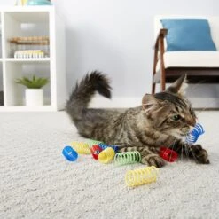 Hartz Delectables Squeeze Up Variety Pack Lickable Cat Treats & Frisco Colorful Springs Cat Toy 16 Hartz Delectables Squeeze Up Variety Pack Lickable Cat Treats & Frisco Colorful Springs Cat Toy -Frisco Shop 737446 PT7. AC SS1800 V1670877997